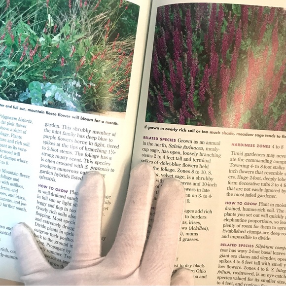 2 Gardening books from Brooklyn Botanic Garden. Each 112 pages. - Picture 9 of 14